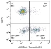Anti-NCAM antibody [MEM-188] (Biotin) used in Flow cytometry (FCM). GTX75714