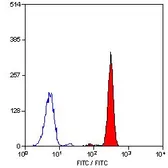 Anti-C5a R1 antibody [P12/1] (FITC) used in Flow cytometry (FCM). GTX75734