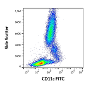 Anti-CD11c antibody [BU15] (FITC) used in Flow cytometry (FCM). GTX75794