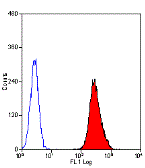 Anti-CTLA4 antibody [WKH203] used in Flow cytometry (FCM). GTX75808