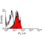 Anti-CD229 antibody [HLy9.1.25] used in Flow cytometry (FCM). GTX75853