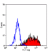Anti-IL2 Receptor alpha antibody [MEM-181] used in Flow cytometry (FCM). GTX75869
