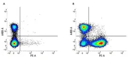 Anti-CD22 antibody [OX-97] (PE) used in Flow cytometry (FCM). GTX75939