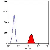 Anti-Glycophorin A antibody [YTH89.1] (PE) used in Flow cytometry (FCM). GTX76245