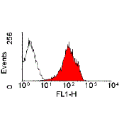 Anti-MHC Class I RT1A antibody [MRC OX-18] (FITC) used in Flow cytometry (FCM). GTX76263
