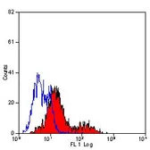 Anti-CD35 antibody [E11] (Azide free) used in Flow cytometry (FCM). GTX76306