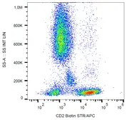 Anti-CD2 antibody [MEM-65] (Biotin) used in Flow cytometry (FCM). GTX78242