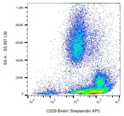 Anti-Integrin beta 1 / CD29 antibody [MEM-101A] (Biotin) used in Flow cytometry (FCM). GTX78285
