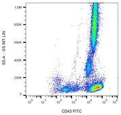 Anti-CD43 antibody [MEM-59] (FITC) used in Flow cytometry (FCM). GTX78289