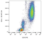 Anti-CD10 antibody [LT10] (PE) used in Flow cytometry (FCM). GTX78377