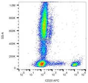 Anti-CD20 antibody [LT20] (APC) used in Flow cytometry (FCM). GTX78380