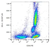 Anti-CD43 antibody [MEM-59] (PE) used in Flow cytometry (FCM). GTX79933