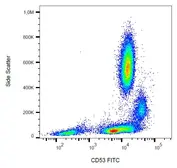 Anti-CD53 antibody [MEM-53] (FITC) used in Flow cytometry (FCM). GTX79940