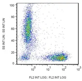 Anti-CD7 antibody [MEM-186] (PE) used in Flow cytometry (FCM). GTX79986