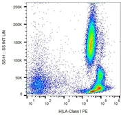 Anti-HLA Class I antibody [MEM-147] (PE) used in Flow cytometry (FCM). GTX80010