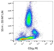 Anti-ICAM1 / CD54 antibody [MEM-111] (PE) used in Flow cytometry (FCM). GTX80022