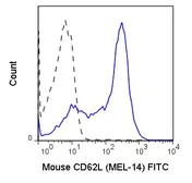 Anti-CD62L antibody [MEL-14] (FITC) used in Flow cytometry (FCM). GTX80035