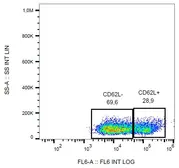 Anti-CD62L antibody [LT-TD180] (APC) used in Flow cytometry (FCM). GTX80068