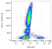 Anti-CD22 antibody [IS7] (APC) used in Flow cytometry (FCM). GTX80079