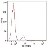 Anti-CD40 antibody [HI40a] (FITC) used in Flow cytometry (FCM). GTX80131