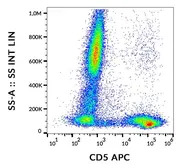 Anti-CD5 antibody [CRIS1] (APC) used in Flow cytometry (FCM). GTX80187