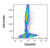 Anti-CD26 antibody [BA5b] (FITC) used in Flow cytometry (FCM). GTX80223