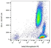 Anti-beta 2 Microglobulin antibody [B2M-01] (PE) used in Flow cytometry (FCM). GTX80228
