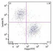 Mouse Anti-Human lambda light chain antibody [4C2] (PE). GTX80281