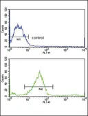 Anti-GALNT3 antibody, Internal used in Flow cytometry (FCM). GTX80494