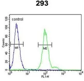 Anti-Factor B (Bb fragment) antibody, Internal used in Flow cytometry (FCM). GTX80605