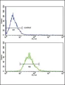 Anti-LDL Receptor antibody, Internal used in Flow cytometry (FCM). GTX80914