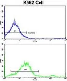 Anti-Lipin 2 antibody, Internal used in Flow cytometry (FCM). GTX81160