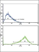 Anti-AP2A2 antibody, Internal used in Flow cytometry (FCM). GTX81179