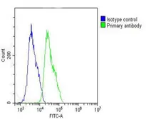 Anti-IL1 beta antibody, Internal used in Flow cytometry (FCM). GTX81192