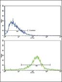 Anti-LRPAP1 antibody, C-term used in Flow cytometry (FCM). GTX81193