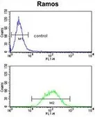 Anti-PCM1 antibody, Internal used in Flow cytometry (FCM). GTX81421