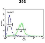Anti-BCOR antibody, Internal used in Flow cytometry (FCM). GTX81506