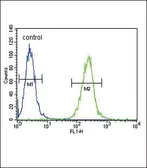 Anti-SPINK5 antibody, N-term used in Flow cytometry (FCM). GTX81680