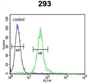 Anti-M-CSF antibody, Internal used in Flow cytometry (FCM). GTX81735