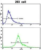 Anti-EMILIN1 antibody, N-term used in Flow cytometry (FCM). GTX81797
