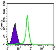 Anti-TAB2 antibody [3B5] used in Flow cytometry (FCM). GTX82751