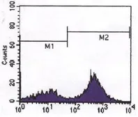 Anti-CD3 antibody [4D10A6] used in Flow cytometry (FCM). GTX83391