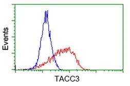 Anti-TACC3 antibody [1E11] used in Flow cytometry (FCM). GTX83529