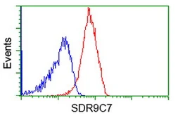 Anti-SDR9C7 antibody [6A8] used in Flow cytometry (FCM). GTX83673