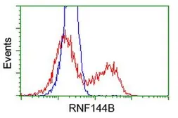 Anti-RNF144B antibody [11F4] used in Flow cytometry (FCM). GTX83705
