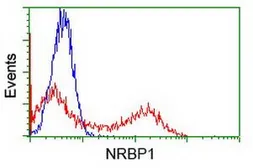 Anti-NRBP1 antibody [5C3] used in Flow cytometry (FCM). GTX84007