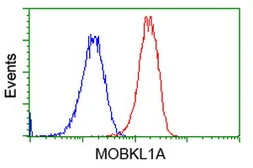 Anti-MOB1B antibody [1H2] used in Flow cytometry (FCM). GTX84105
