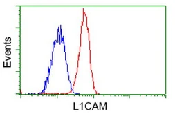 Anti-L1CAM antibody [1A8] used in Flow cytometry (FCM). GTX84236