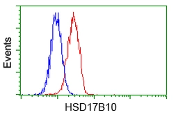 Anti-ERAB antibody [10B4] used in Flow cytometry (FCM). GTX84346