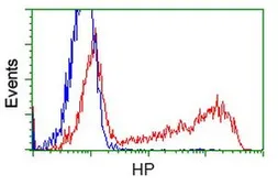 Anti-Haptoglobin antibody [1B1] used in Flow cytometry (FCM). GTX84351